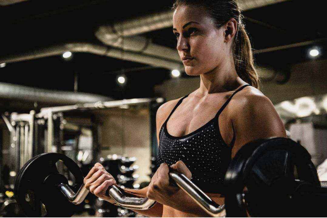 Protein Meal